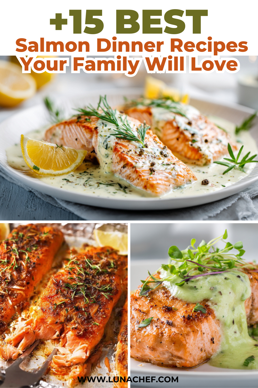 Best Salmon Dinner Recipes
