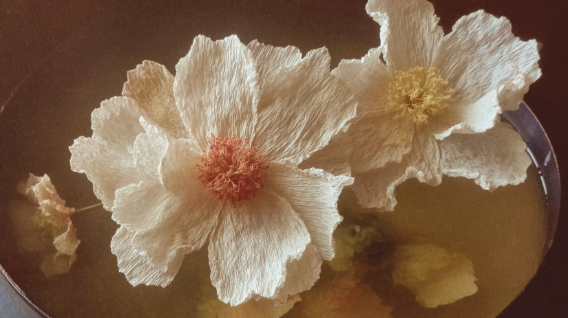 Rice Paper Blooms